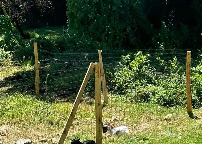 Apartahotel Domaine Manilea - Piscine - Proche Océan Saint-Laurent-de-la-Prée